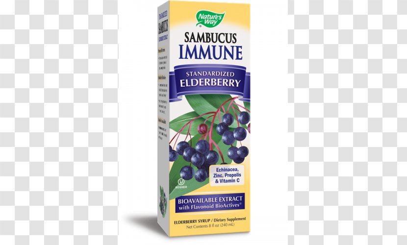 Elder Dietary Supplement Extract Berry Shrub - Elderberry Transparent PNG