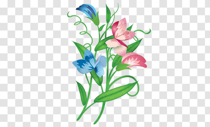 Cut Flowers Flowering Plant Sweet Pea - Vegetable - Peas Transparent PNG