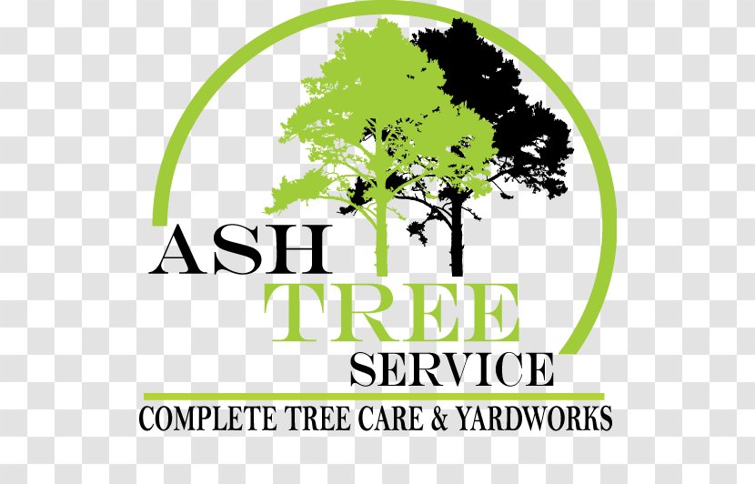 Ash Tree Service Logo Brand - Desert Transparent PNG