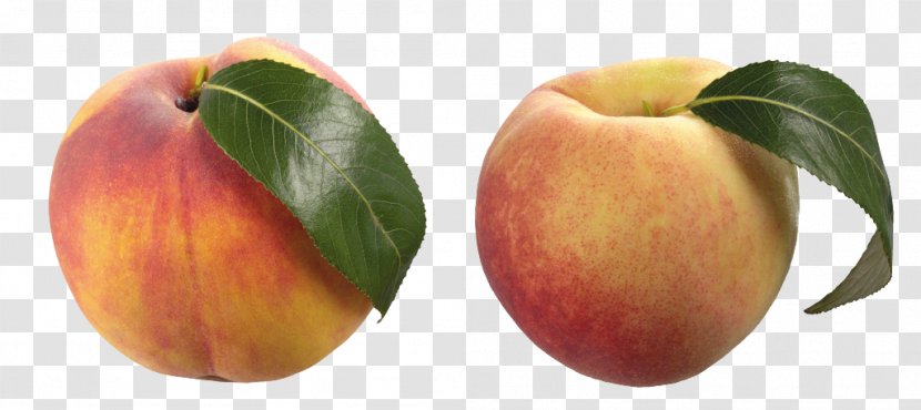 Crisp Fruit Clip Art Peach Nectar - Apple Transparent PNG