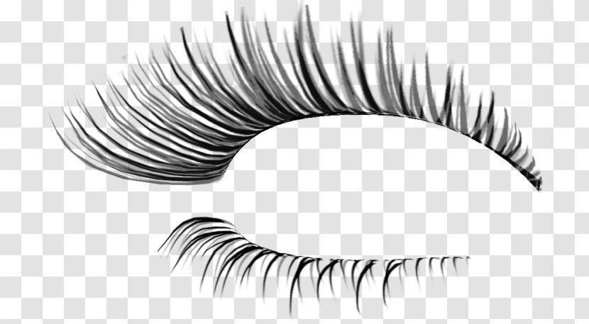 Eyelash Extensions Eye Shadow Clip Art - Tree Transparent PNG