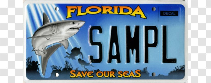 2004 Ford Mustang Vehicle License Plates UPRproducts.com 0 - Florida Transparent PNG