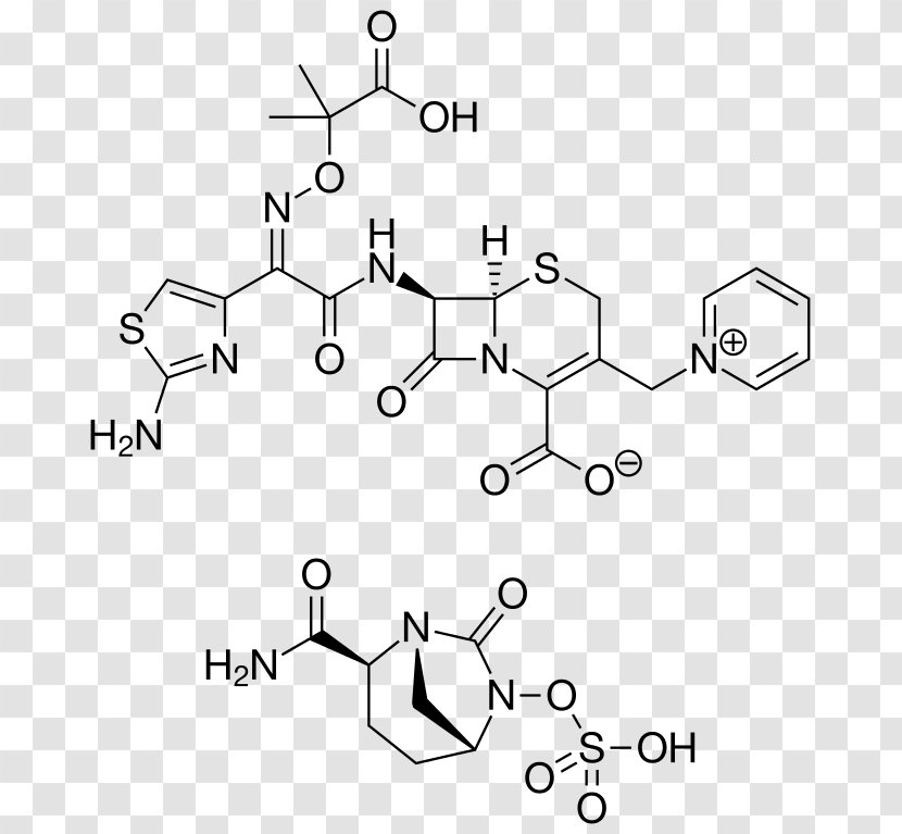 Ceftazidime/avibactam Cephalosporin β-Lactamase Inhibitor - Combination Drug - Ceftazidime Transparent PNG