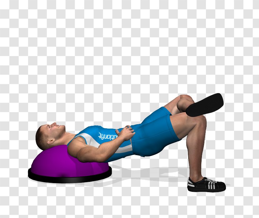 BOSU Exercise Pilates Physical Fitness Squat - Watercolor - Bridge Workout Transparent PNG
