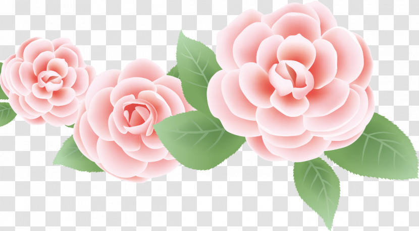 Three Flowers Three Roses Valentines Day Transparent PNG