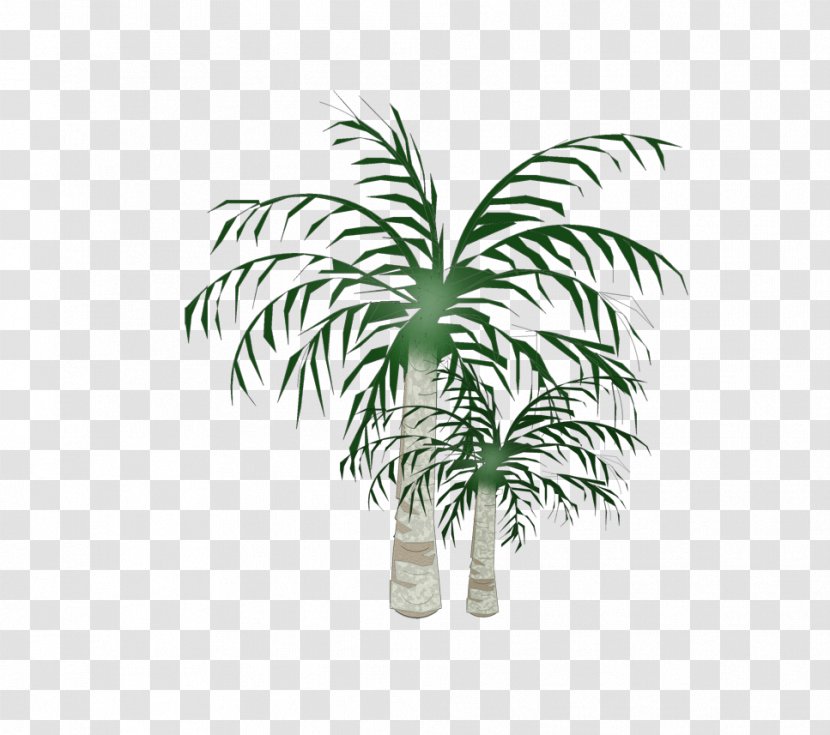 Arecaceae Coconut Plane Tree Transparent PNG