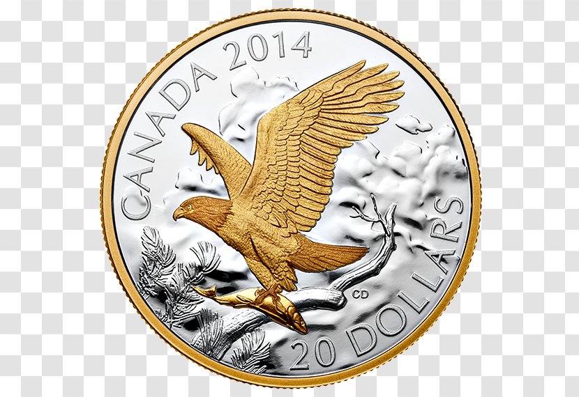 Coin Eagle Gold - Fauna Transparent PNG