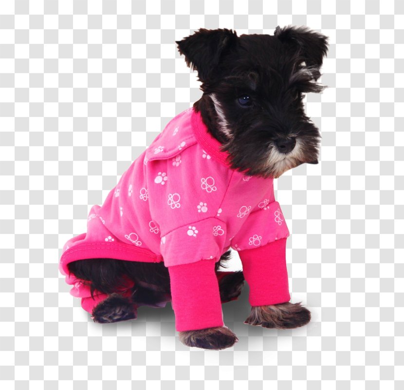 T-shirt Tracksuit Dog Pajamas Clothing - Schnauzer Transparent PNG