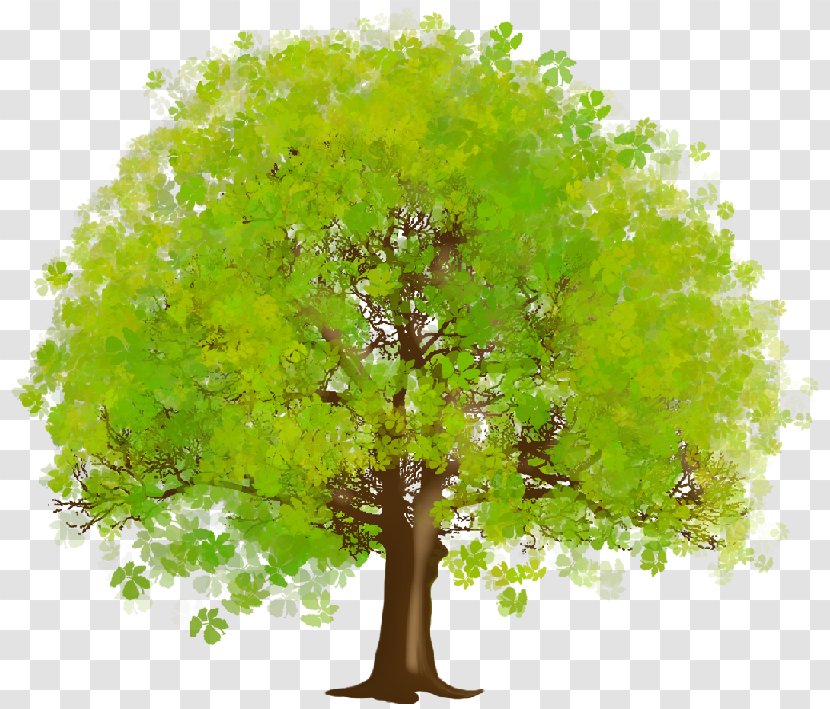 Tree Desktop Wallpaper Clip Art - Trunk Transparent PNG