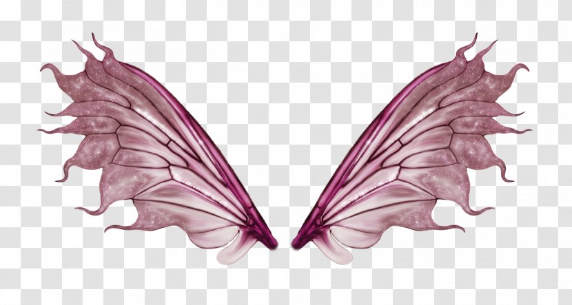 Fairy Color Clothing - Mythical Creature - Heart Wing Transparent PNG