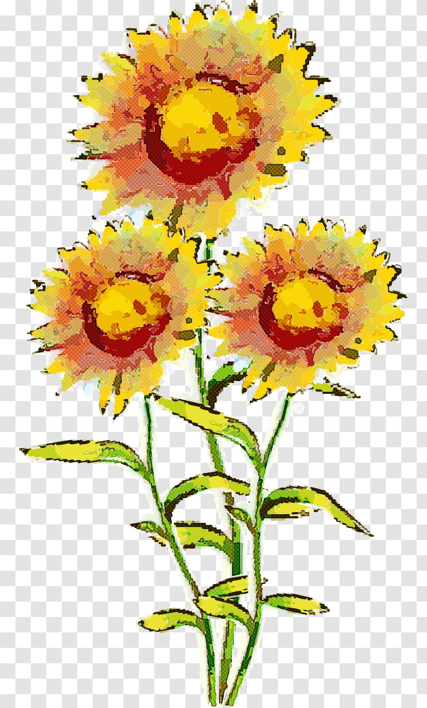 Sunflower Transparent PNG