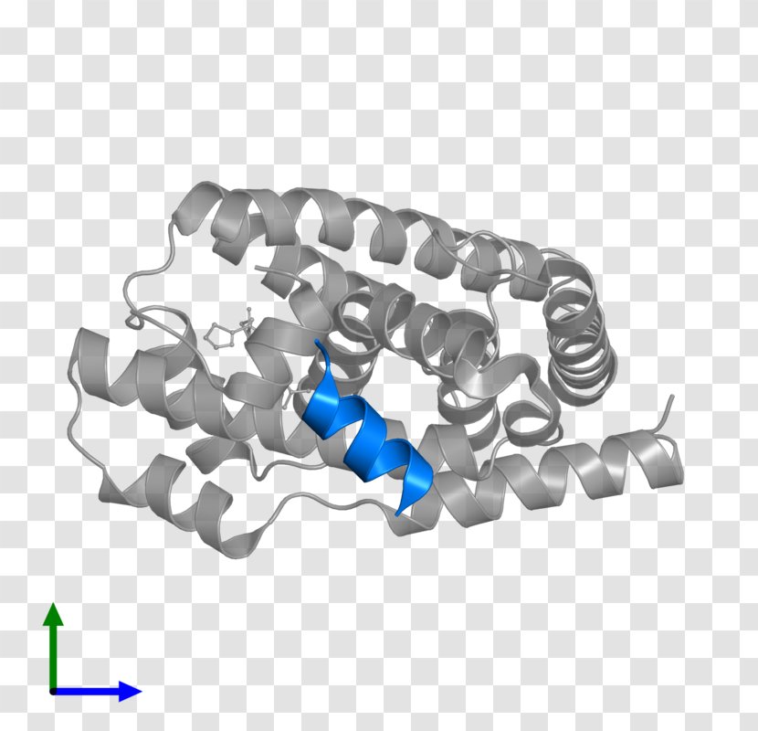 Farnesoid X Receptor Pregnane Liver - Acid - Hardware Accessory Transparent PNG