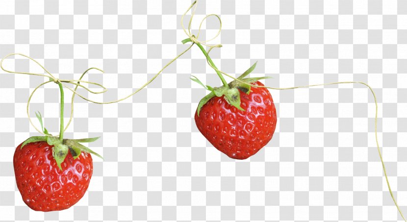 Strawberry Fruit Auglis - Food - Rope Transparent PNG