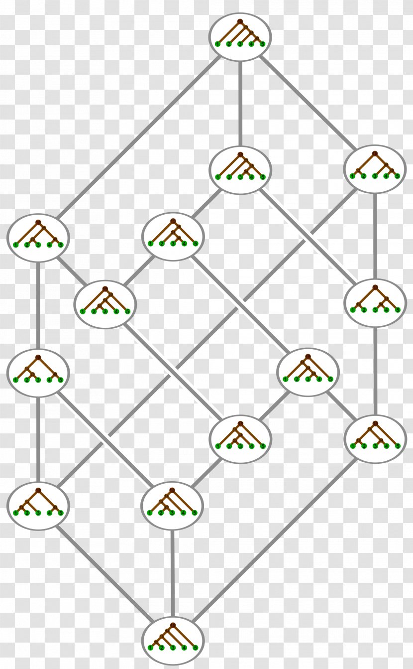 Associahedron Catalan Number Tamari Lattice Binary Tree Hasse Diagram - Leonhard Euler Transparent PNG