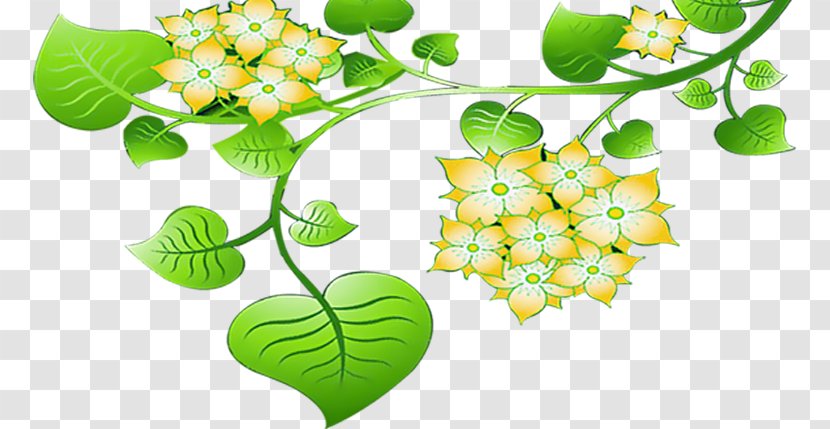 Leaf Fruit Illustration - Flora - Green Leaves Transparent PNG