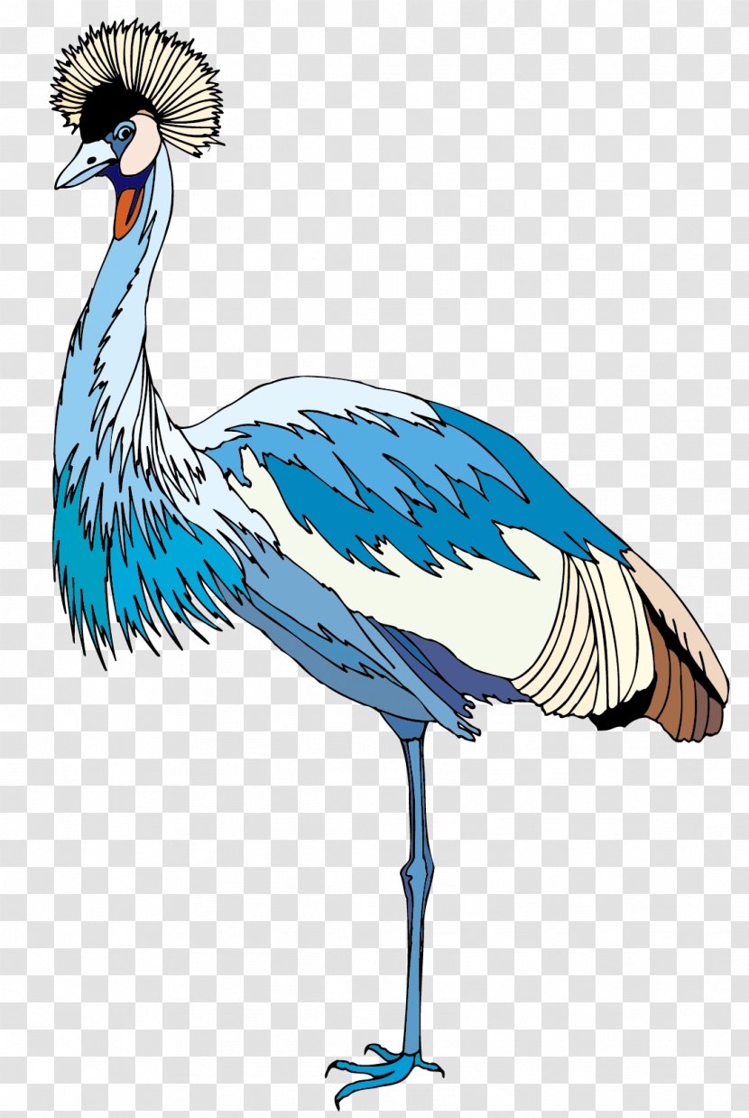 Crane Bird Illustration - Peacock Vector Material Transparent PNG