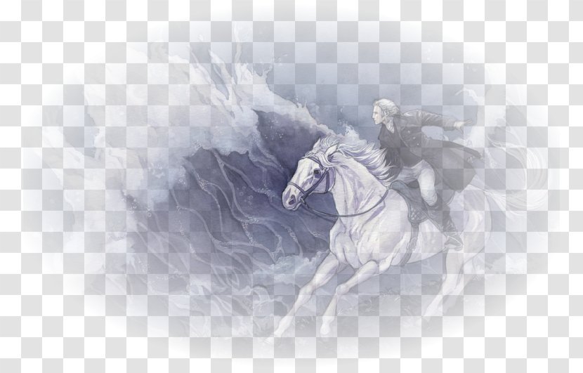 Desktop Wallpaper The Rider On White Horse Stock Photography Computer Transparent PNG