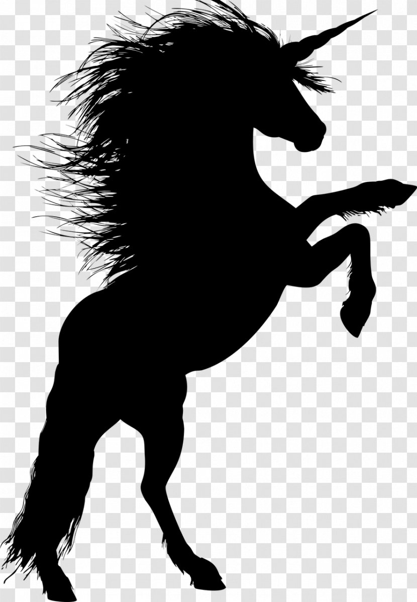 Horse Stallion Rearing Silhouette Unicorn - Riding Transparent PNG