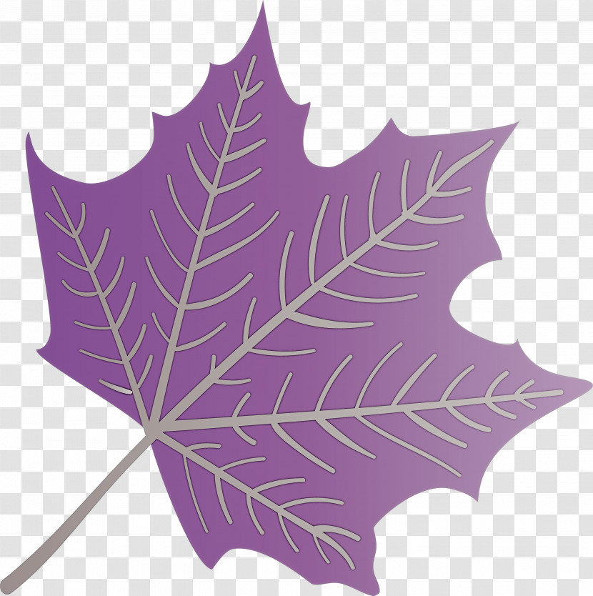 Autumn Leaf Colourful Foliage Colorful Leaves Transparent PNG