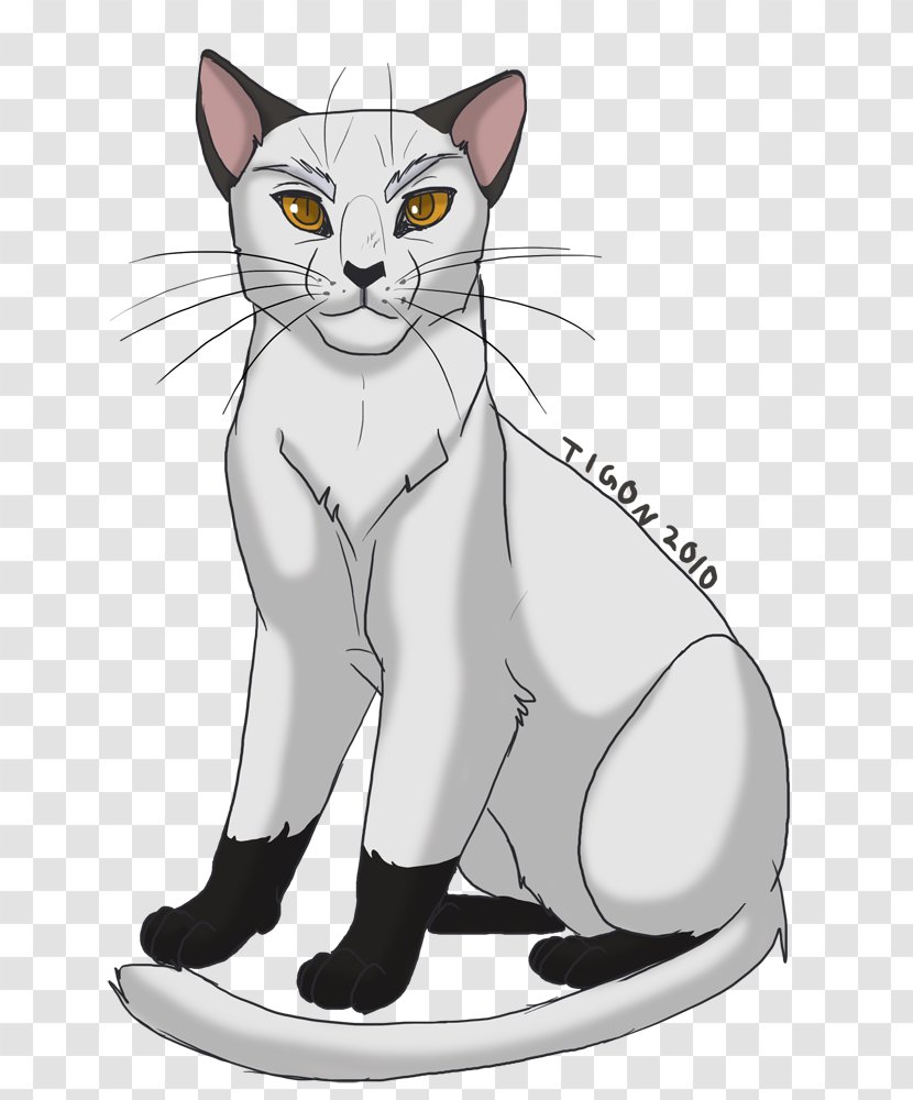 Cats Of The Clans Warriors Into Wild Secrets - Cat Transparent PNG