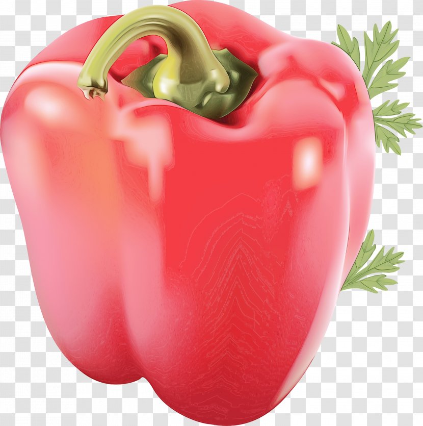 Vegetable Cartoon - Capsicum - Green Bell Pepper Nightshade Family Transparent PNG