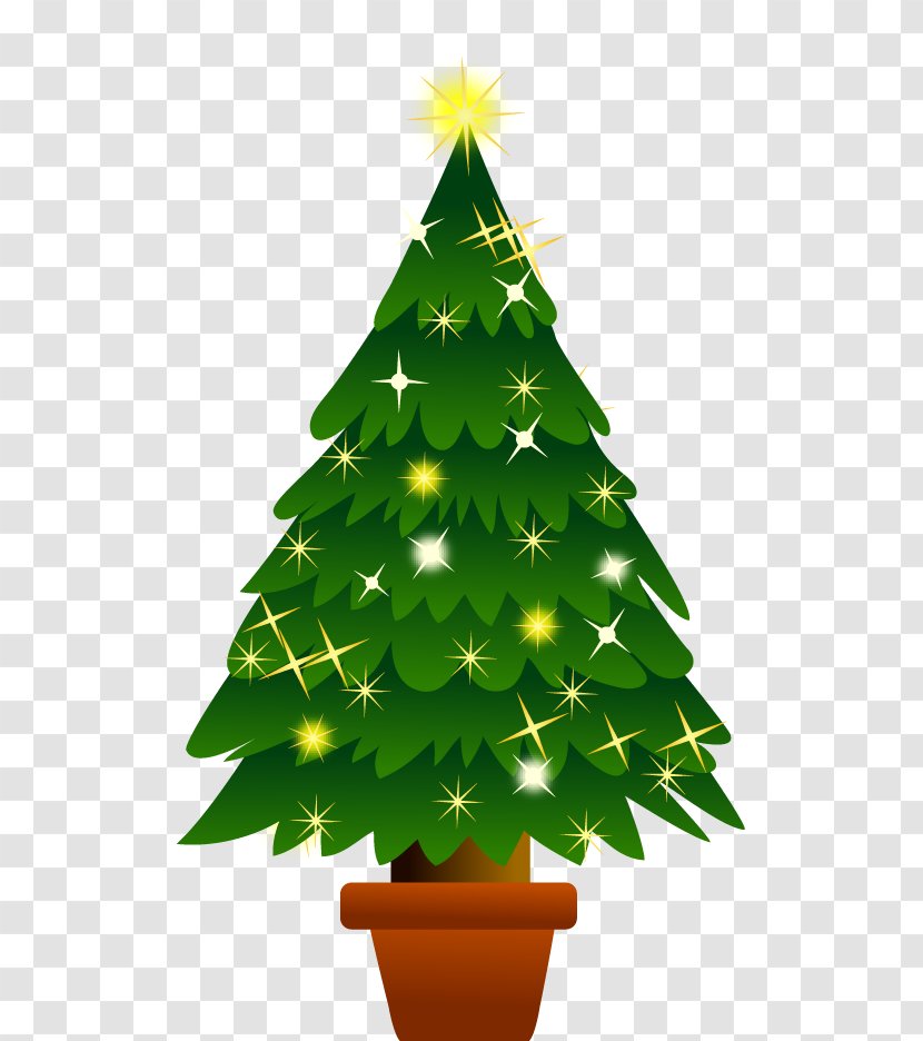 Christmas Tree Abies Firma - Ornament - Event Transparent PNG