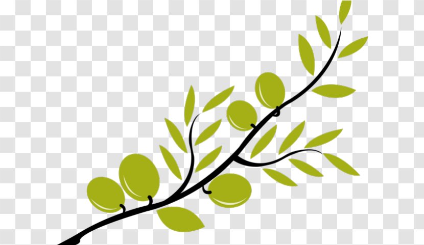 Leaf Branch Plant Tree Twig - Stem Flower Transparent PNG
