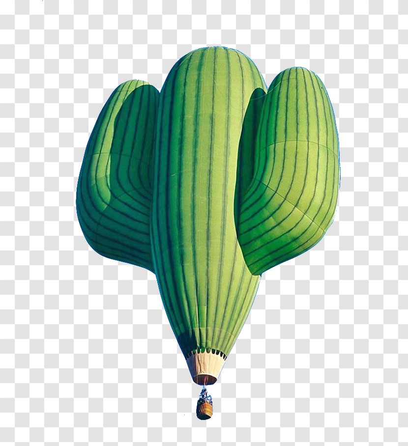Hot Air Balloon Blimp Flight Aviation - Photography - Cactus Take Off It Transparent PNG
