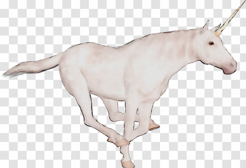Mule Mustang Unicorn Oryx Donkey - Mane - Rein Transparent PNG