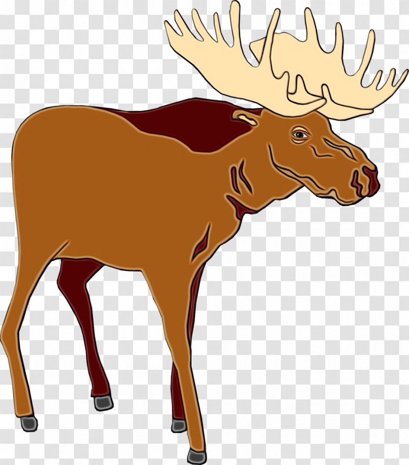 Reindeer - Deer - Animal Figure Fawn Transparent PNG