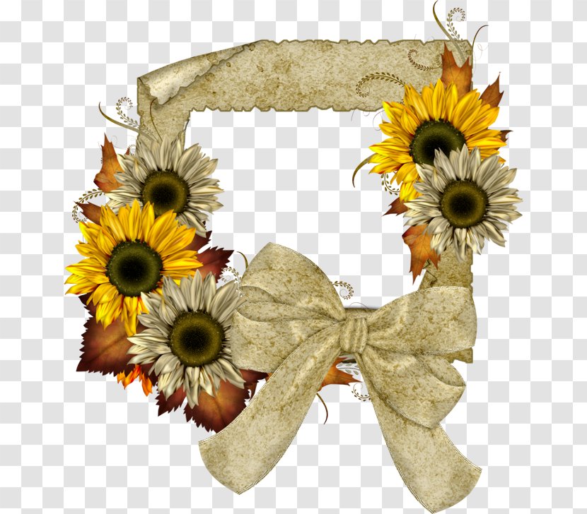 Common Sunflower Picture Frames Clip Art - Plant - Leaf Transparent PNG