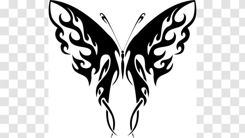 Butterfly Drawing Clip Art - Brush Footed - Half Cliparts Transparent PNG