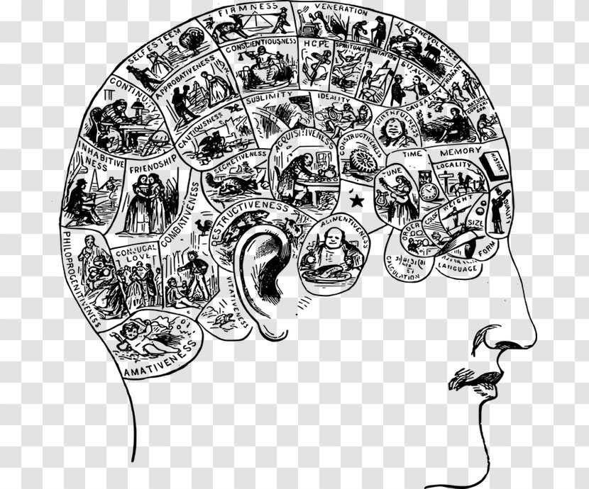 Brain Lives Of The Mind: Use And Abuse Intelligence From Hegel To Wodehouse Human Head - Frame Transparent PNG