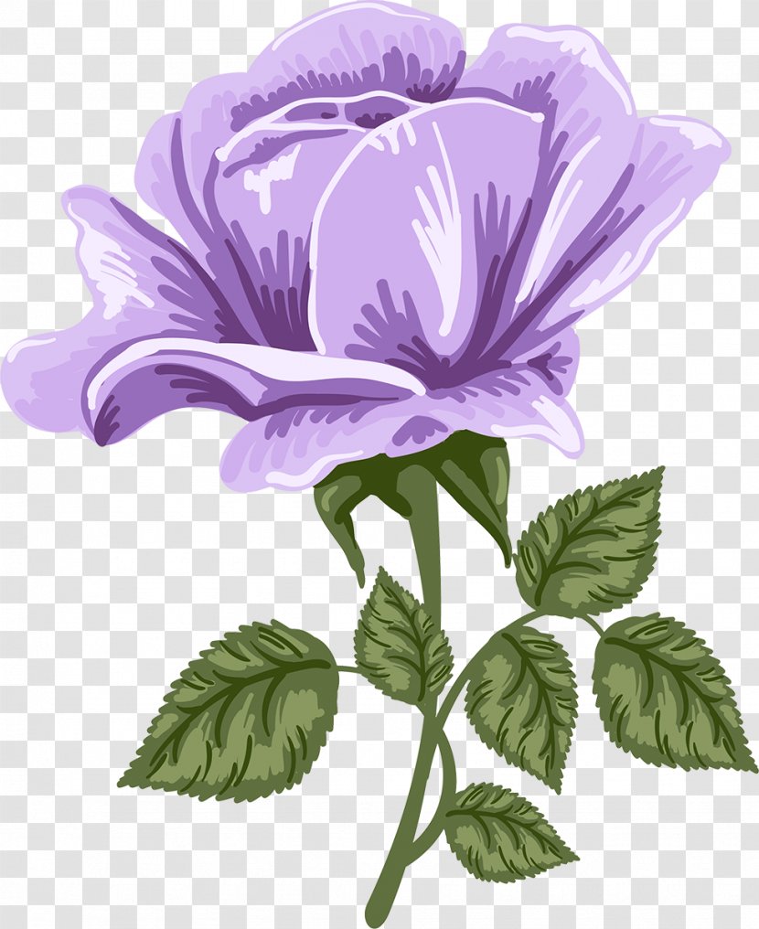 Purple Watercolor Flower - Viola Anemone Transparent PNG
