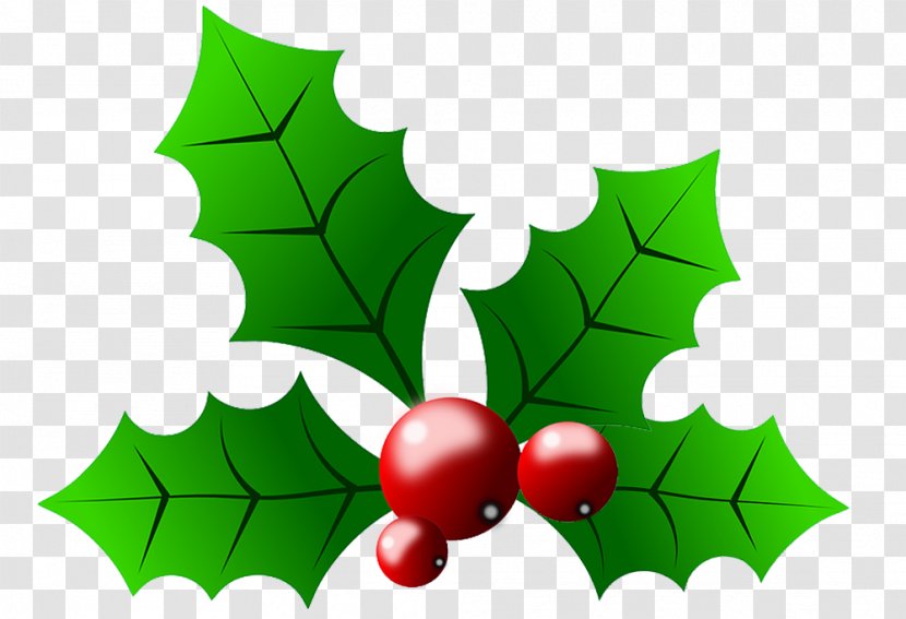 Common Holly Christmas Clip Art - Plant - Pictures With Berries Transparent PNG