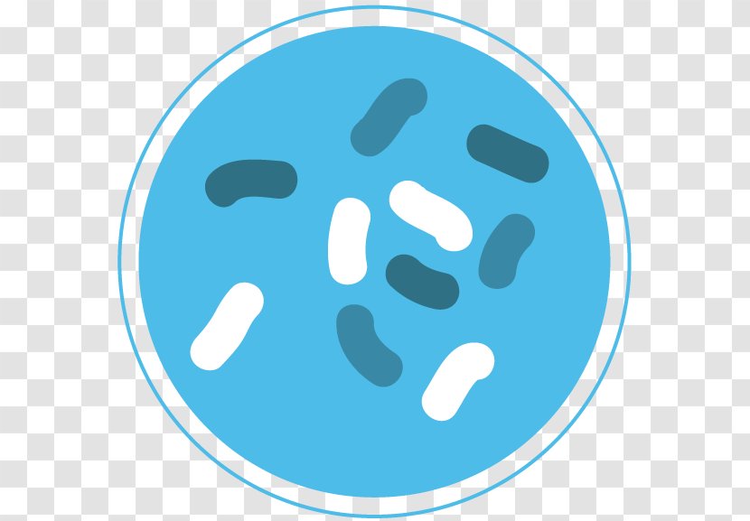 Bacteria Microorganism - Smile Transparent PNG