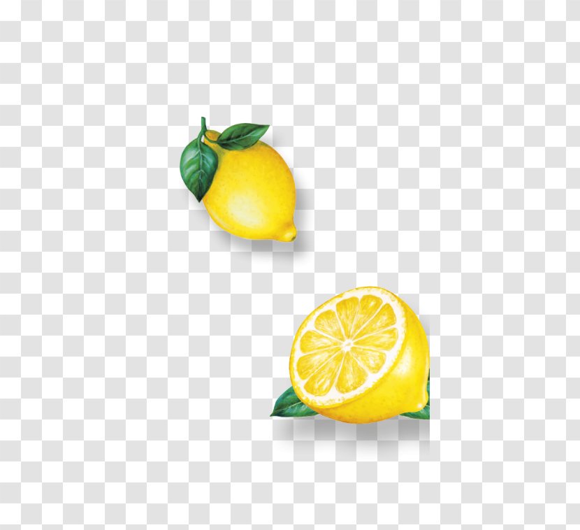 Lemon Key Lime Persian Vegetarian Cuisine - Organic Food - Juice Transparent PNG
