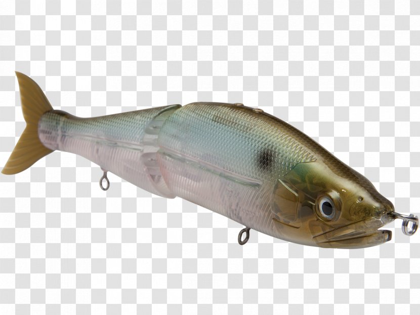 Sardine Spoon Lure Oily Fish Milkfish Osmeriformes - Bony - Gizzard Transparent PNG