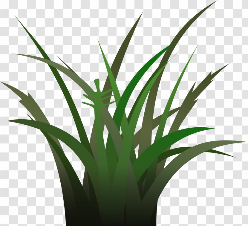 Clip Art - Plant - Green Transparent PNG