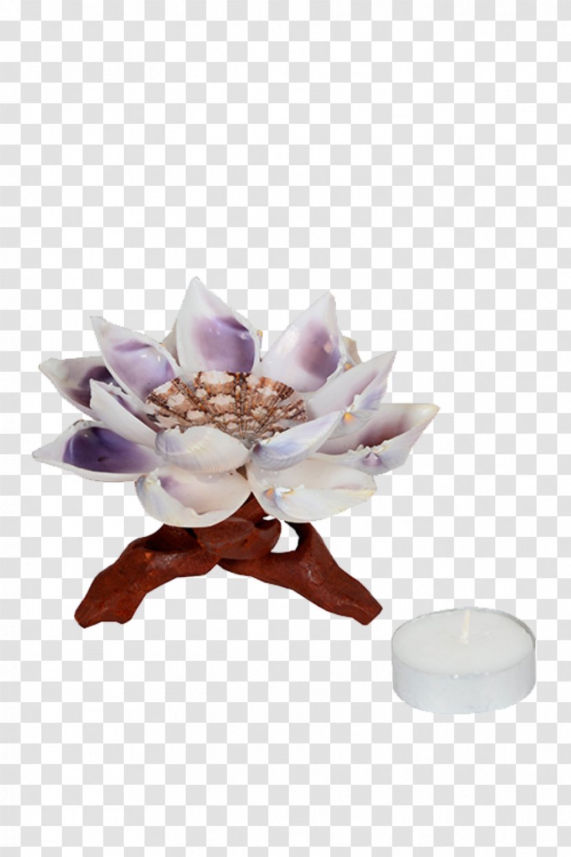 Petal - Decorative Lotus Transparent PNG