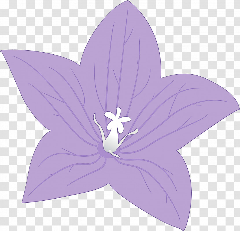 Lavender Transparent PNG
