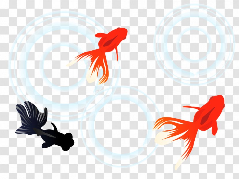 Goldfish Swimming - Survey Methodology - Edogawa Tokyo Transparent PNG