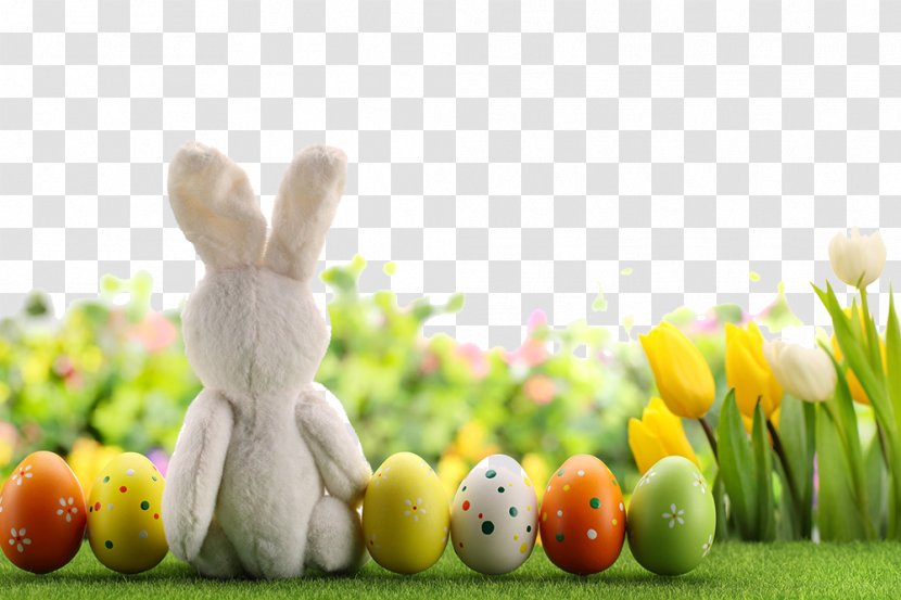 Easter Bunny Egg - Flower - Beautiful Transparent PNG