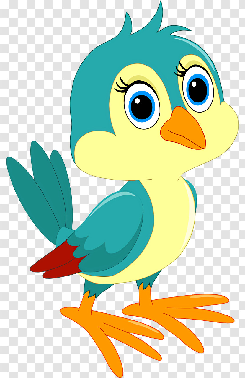 Ducks Birds Water Bird Beak Cartoon Transparent PNG