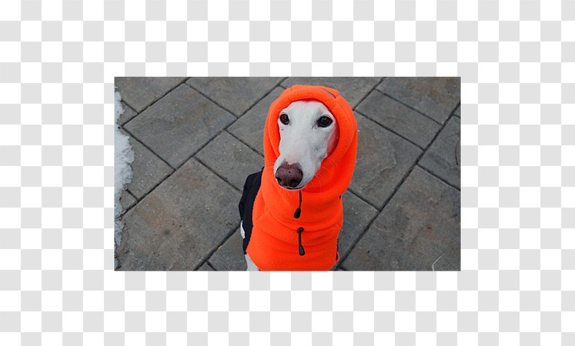 Dog Snout Head Ear Polar Fleece Transparent PNG