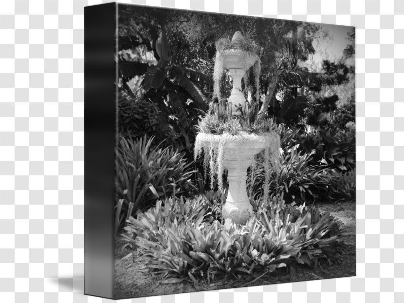 Black And White Photography Canvas Print Gallery Wrap Painting Transparent PNG
