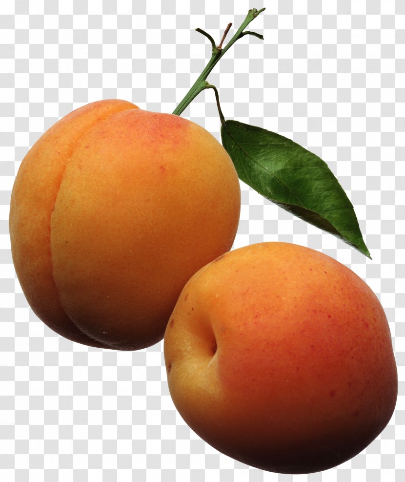 Apricot Fruit Peach Clip Art - Vegetarian Food - Peaches Transparent PNG