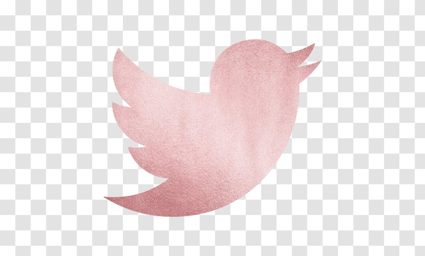 Clip Art Logo Social Media LinkedIn - Water Bird - Twitter Pink Sparkles Transparent PNG