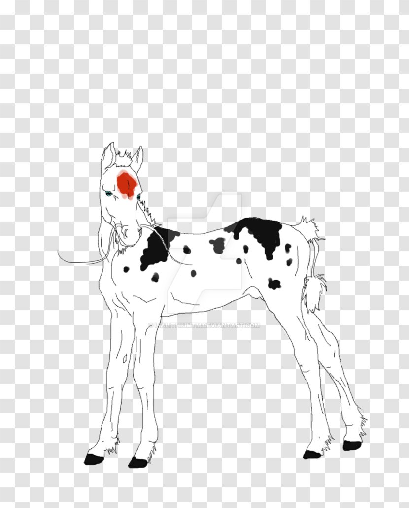 Cattle Reindeer Horse Mammal Canidae - Cow Goat Family Transparent PNG
