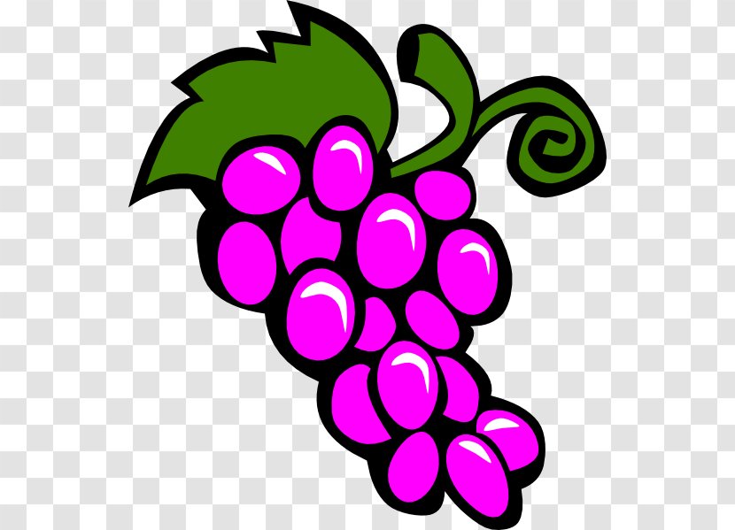 Common Grape Vine Wine Chardonnay Clip Art - Plant - Fruitpictures Transparent PNG